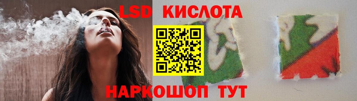 A PVP Городец
