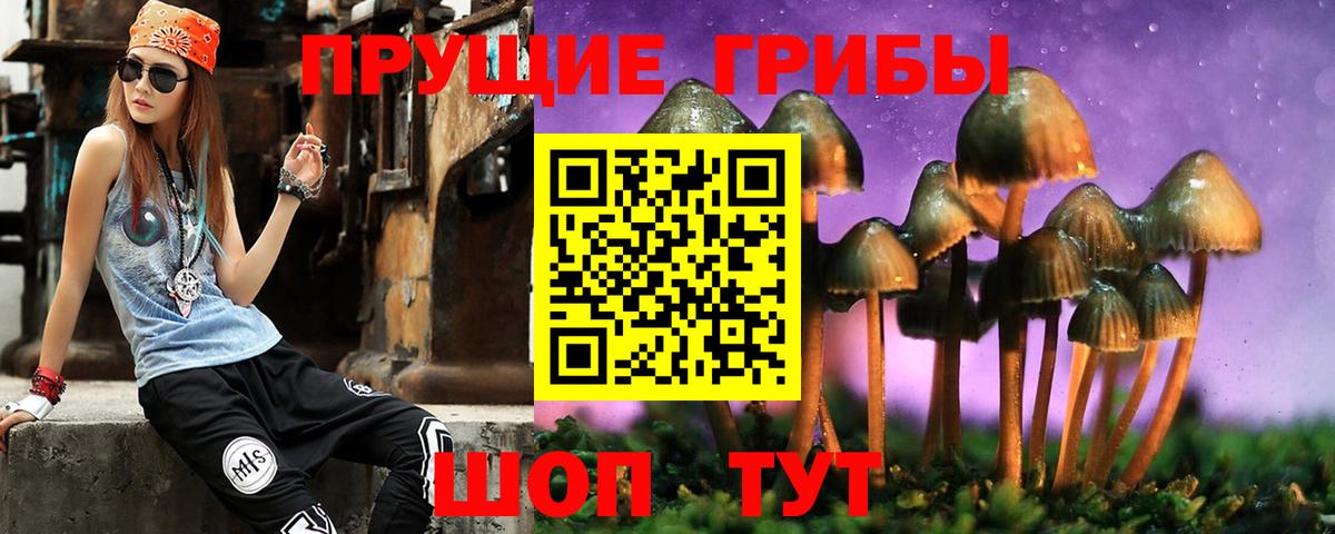 Галлюциногенные грибы Psilocybine cubensis  Вход с VPN  Городец 